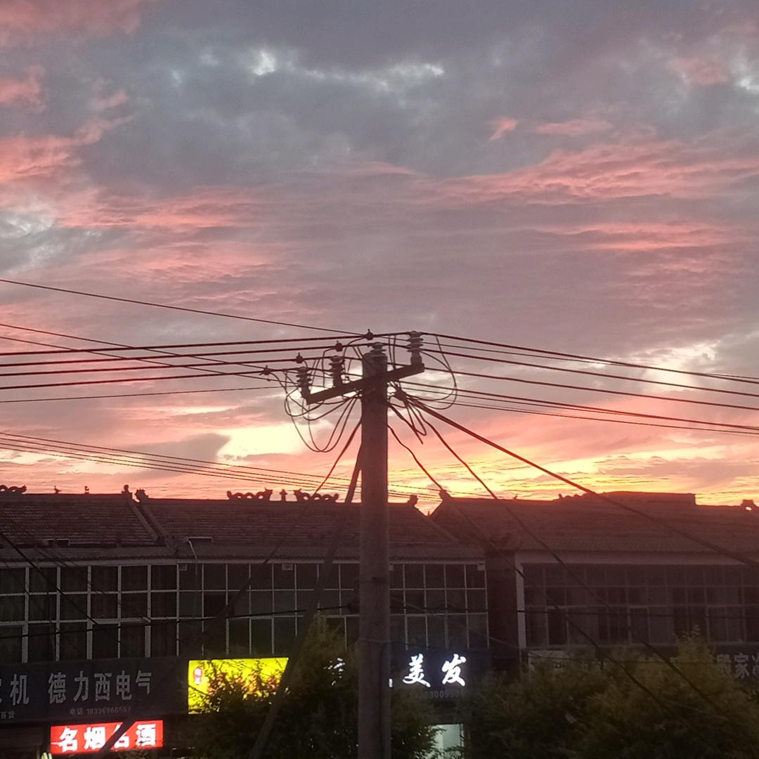 南羽墨
