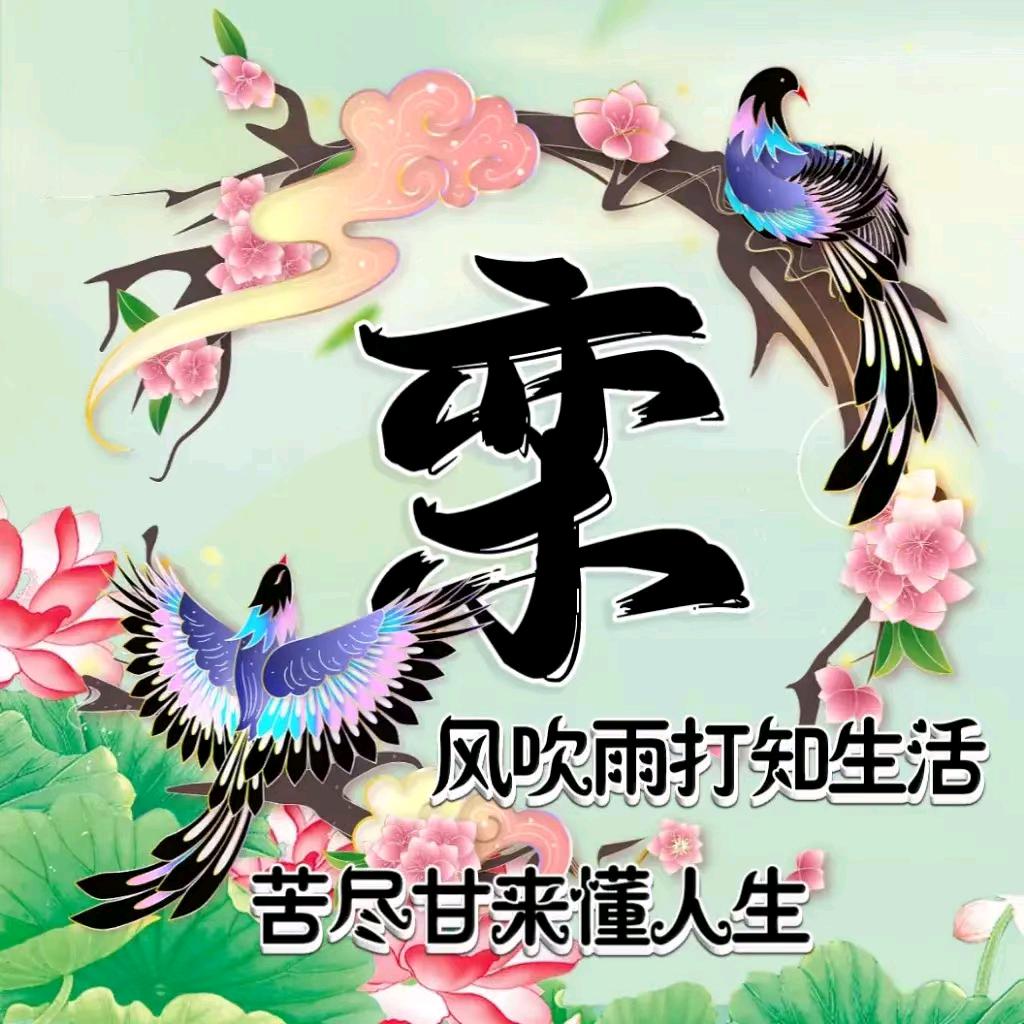 潇洒哥