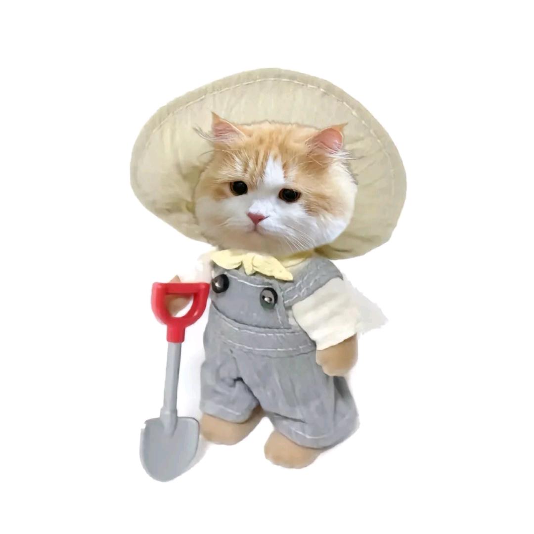 灿灿.