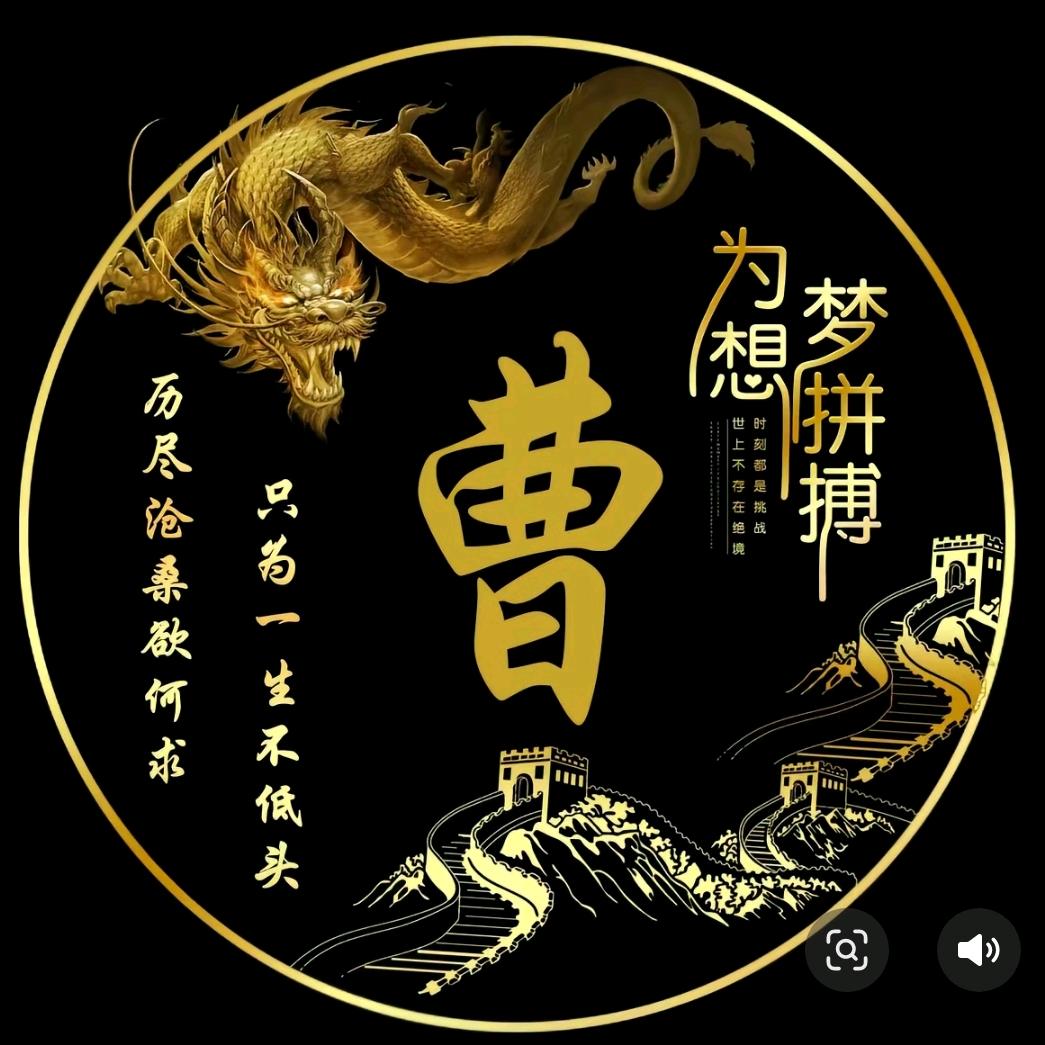 曹大帅摩旅定乾坤