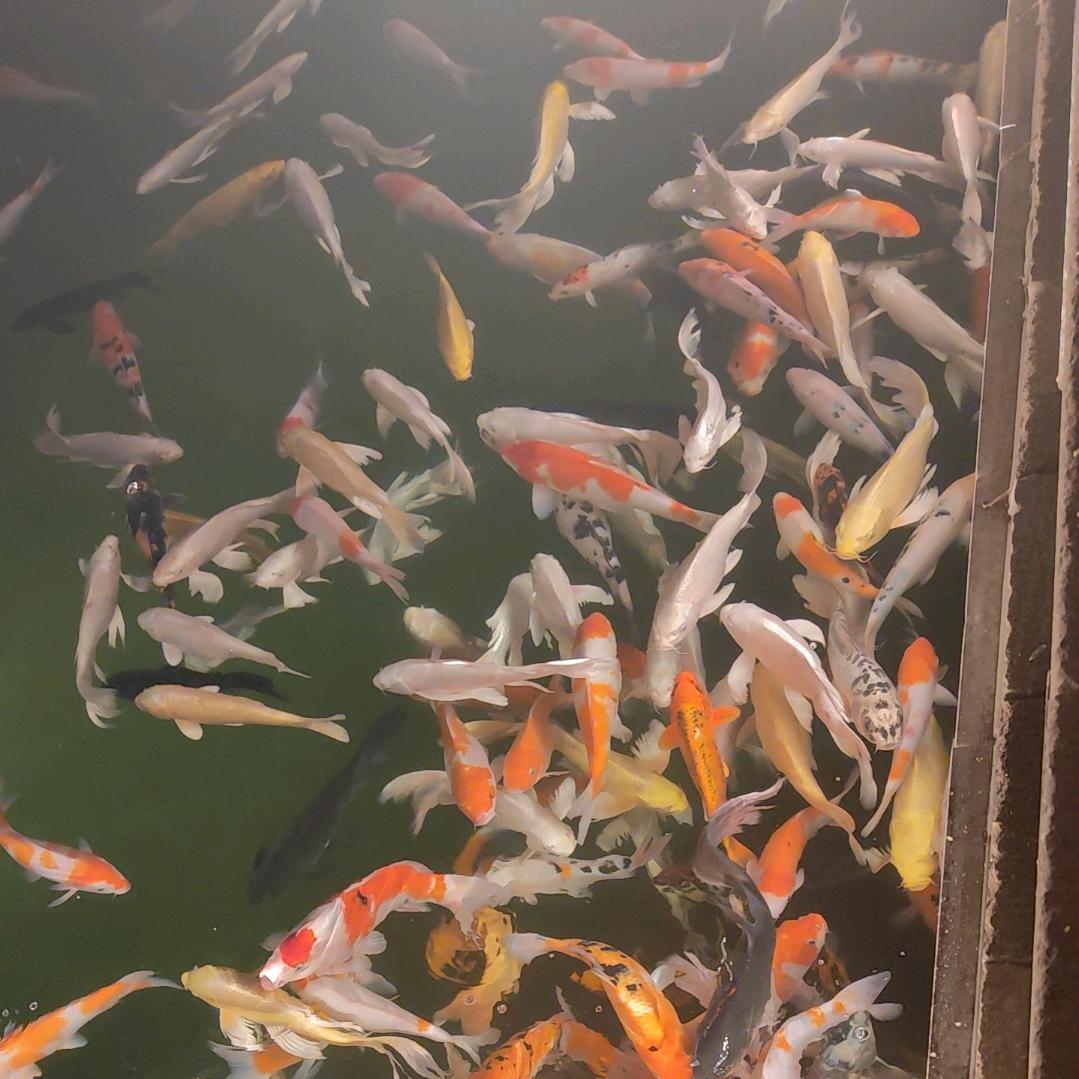 鑫彬五金加工