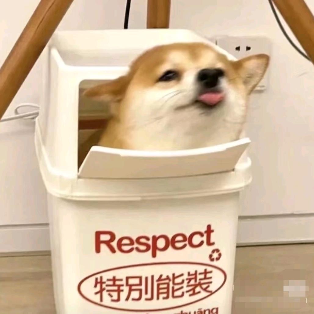 张小包