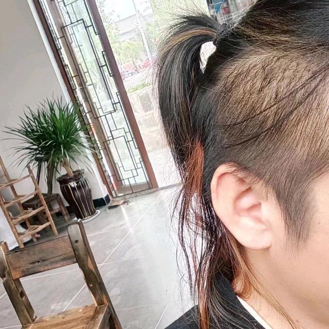 临泉毛哥