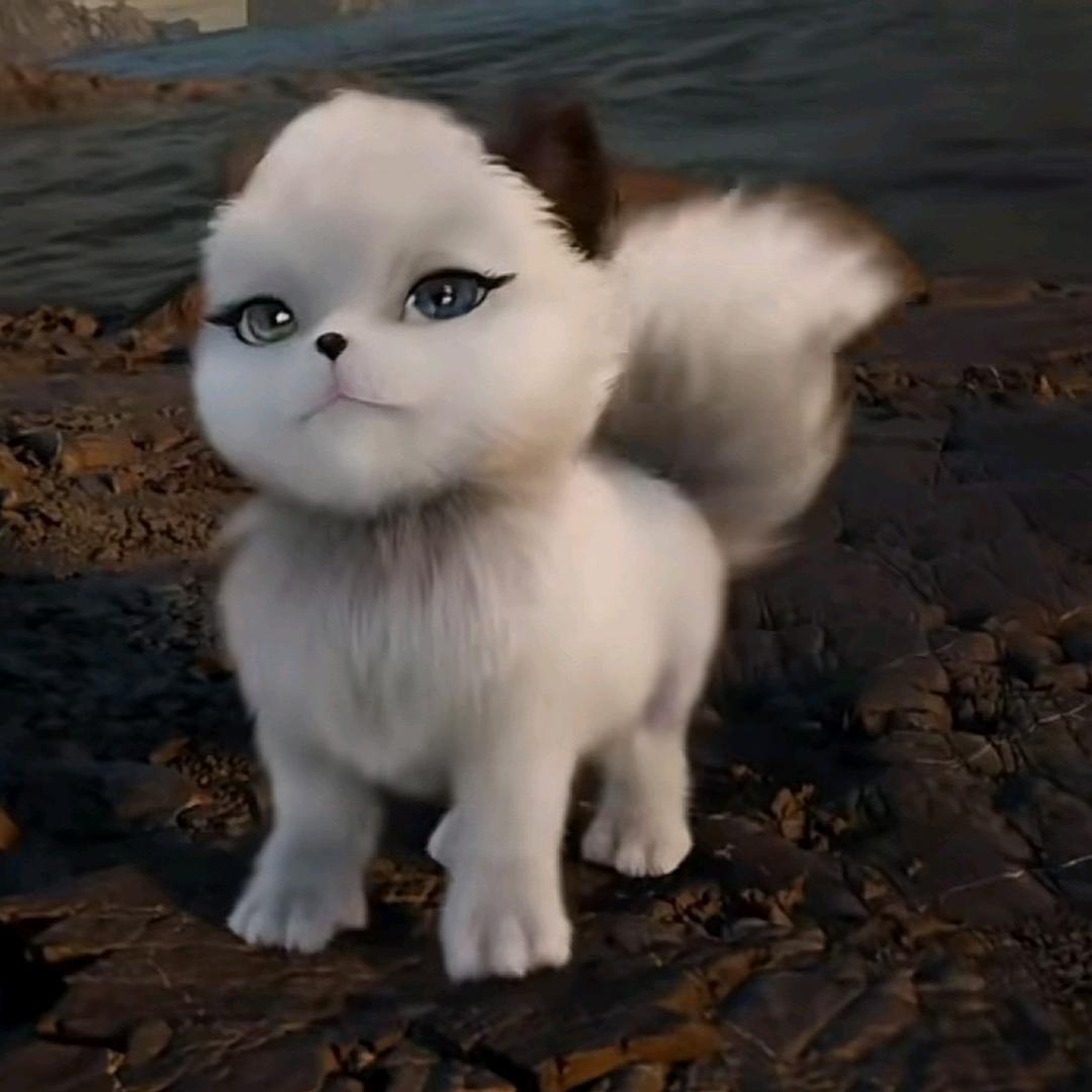 小猫在幸福