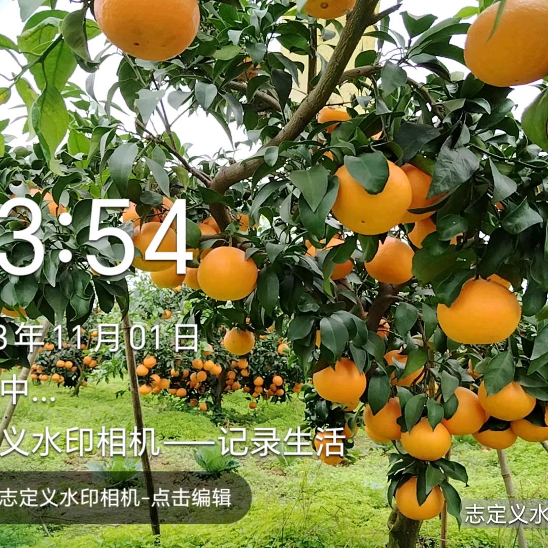 2023加油！
