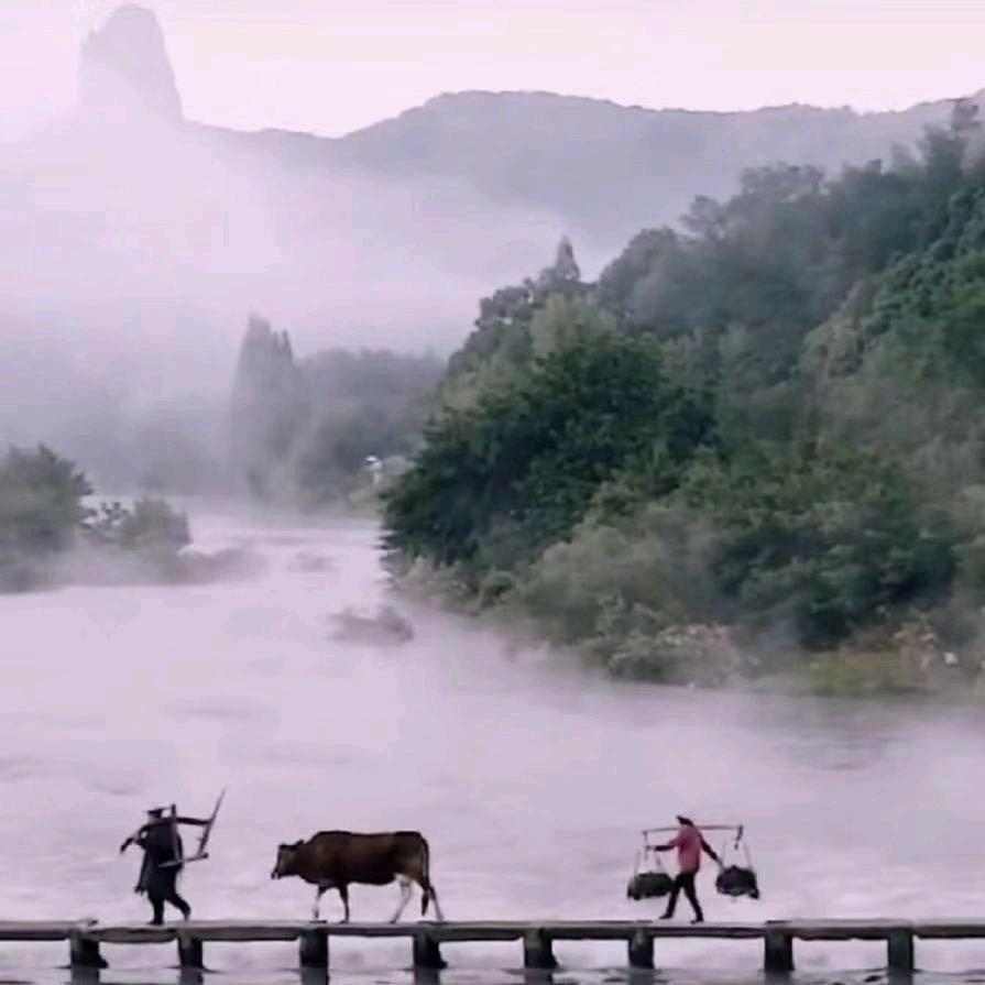 用户巴山夜雨