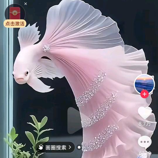 向姐