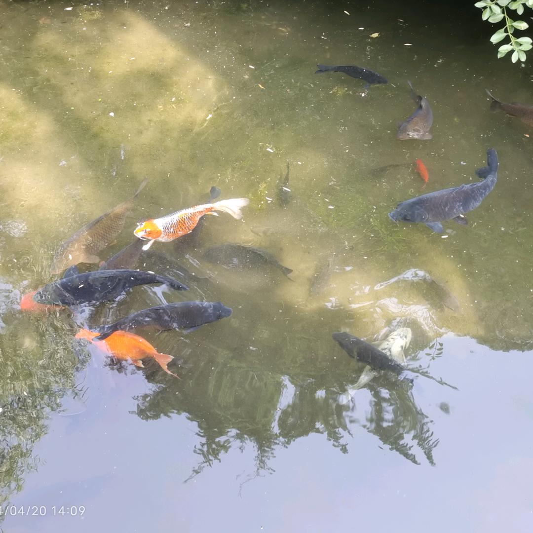 你叫八九我叫十!!