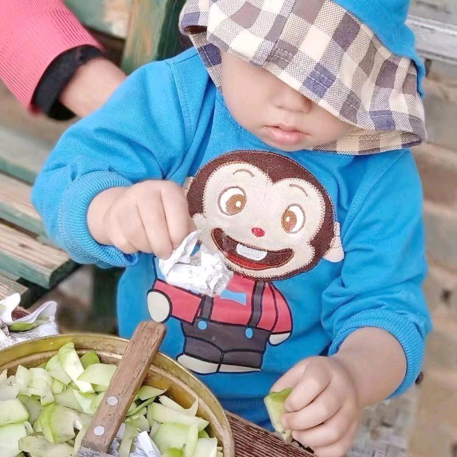 圆宝