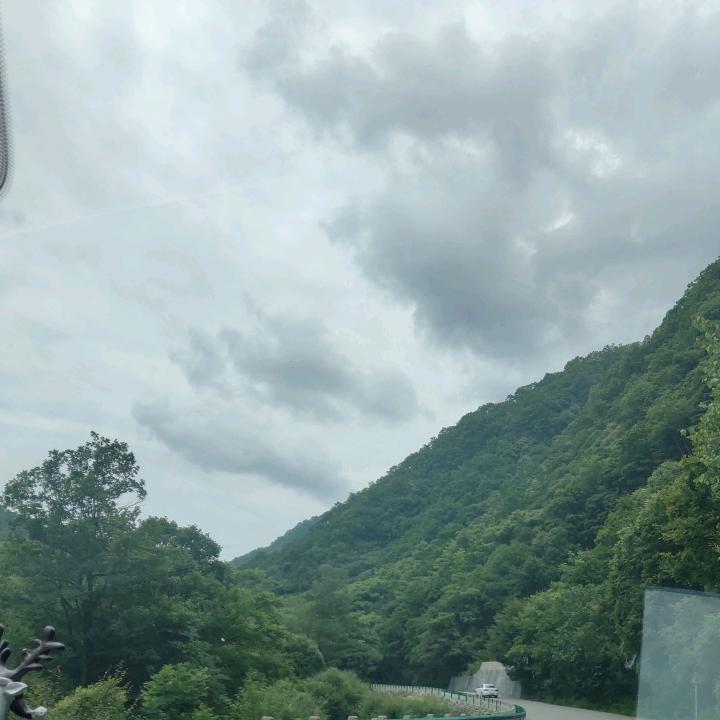 罗哥，爱唱歌🎤