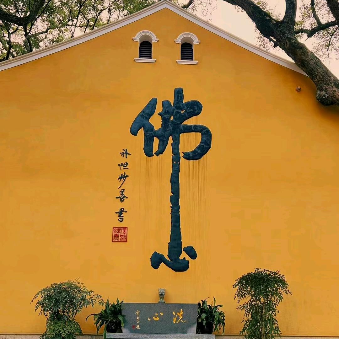 清风自来
