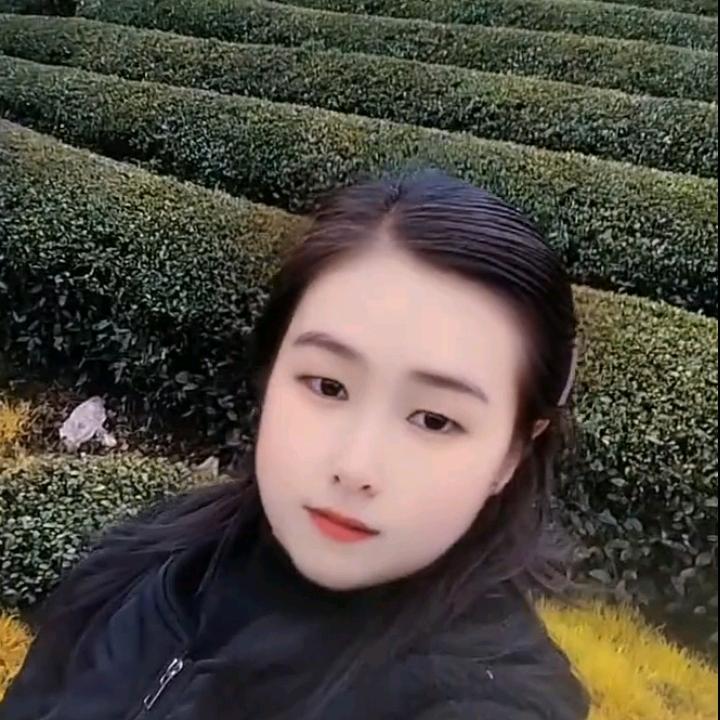 二龙戏珠