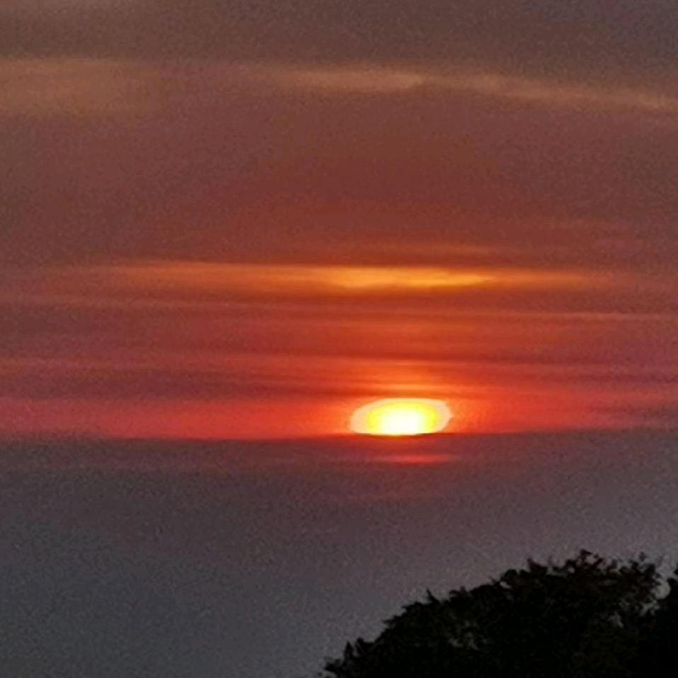 爱吃泡面的胡萝卜