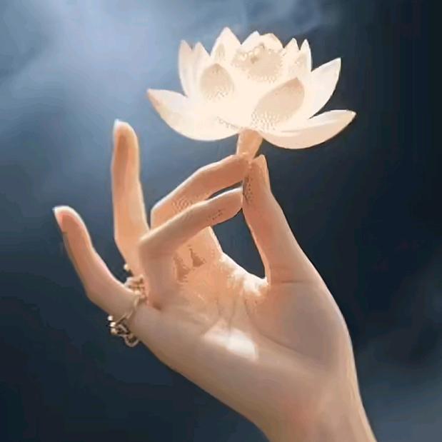 随风花落