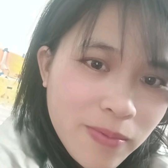雪琴《友情无价》