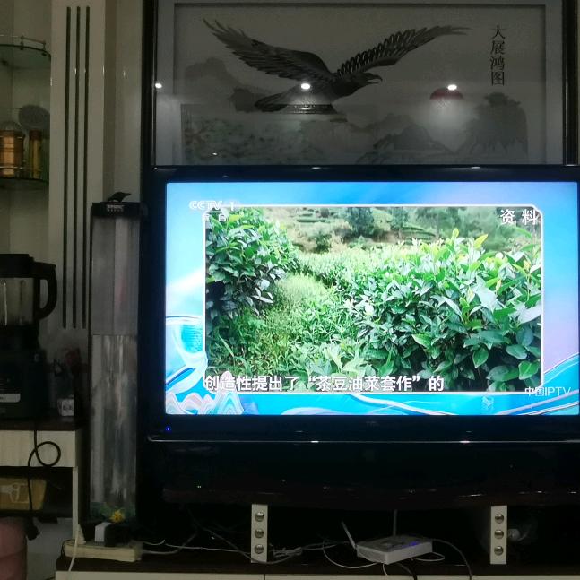 龙行天下&