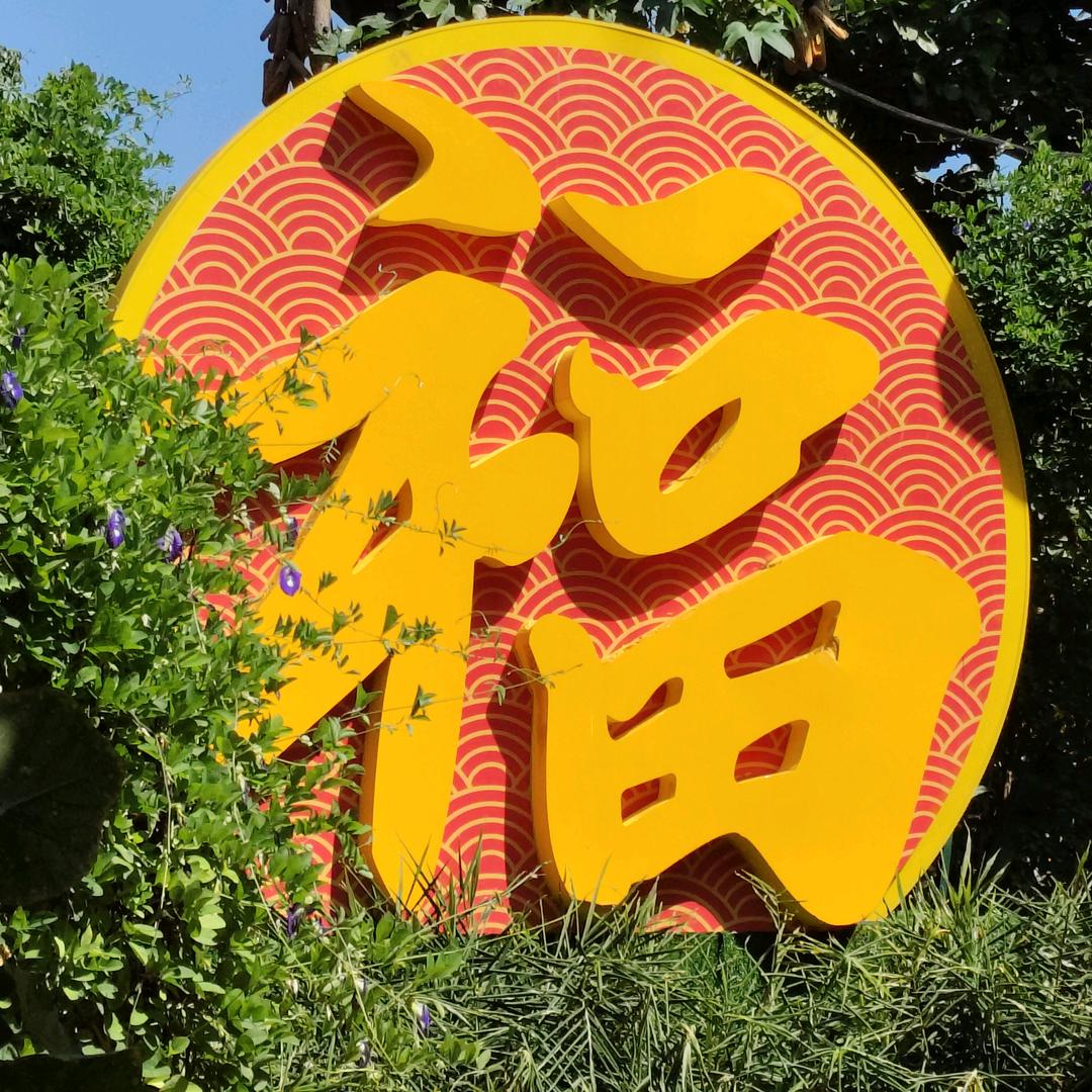 迹卷絮.