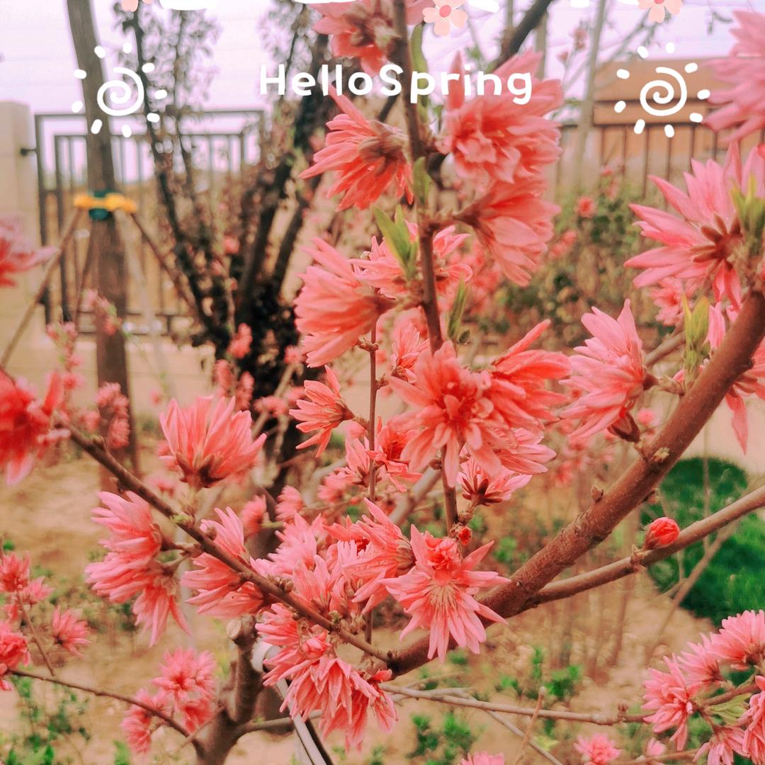 时不我与