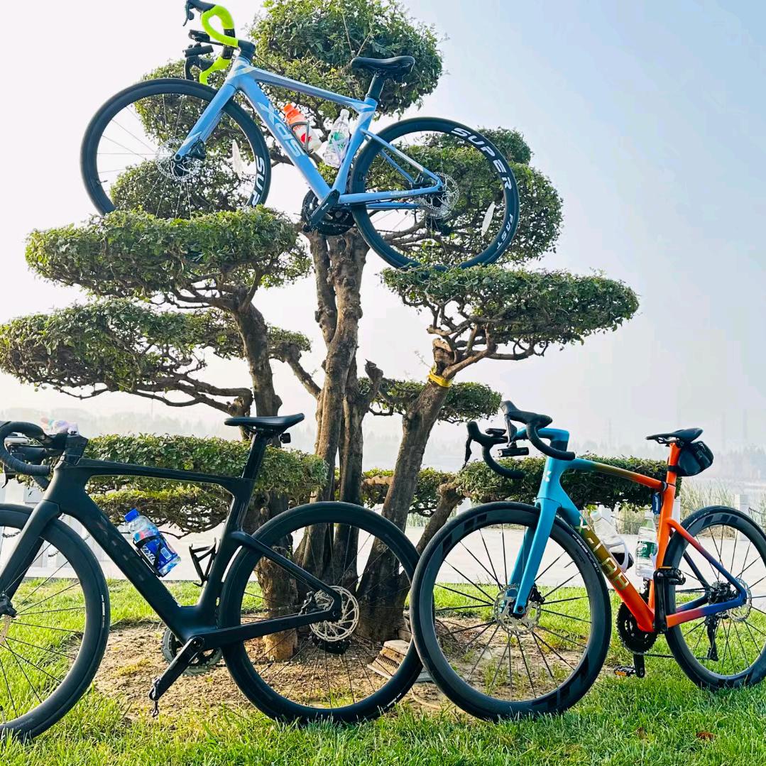 喜德盛凤凰自行车万山路店，修车，租车骑车