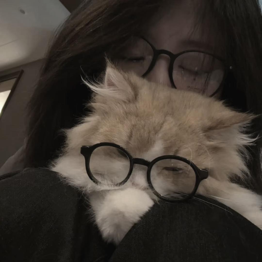 笨笨