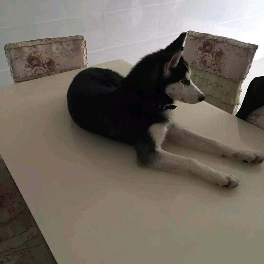 沐泽爱钓鱼