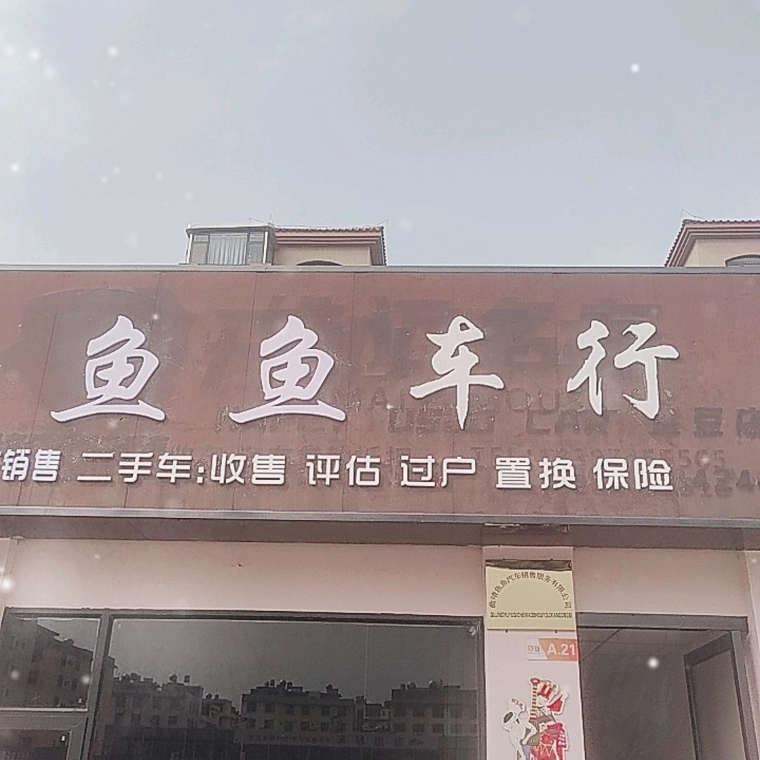 曲靖鱼鱼名车(老鱼)