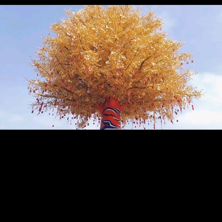 春宇