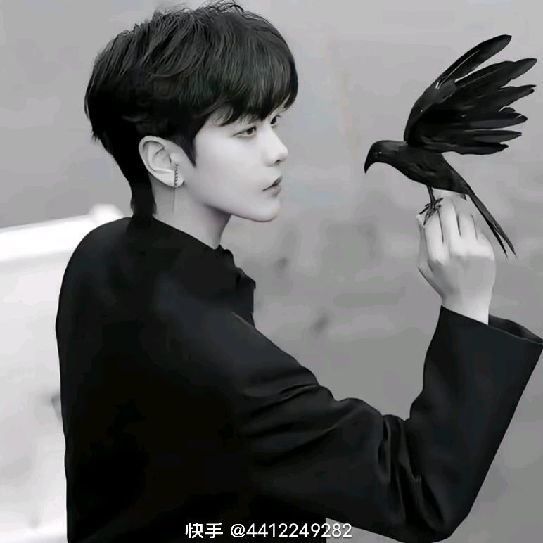 丶风生水起
