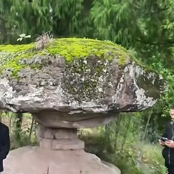 陈光华
