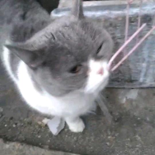 啊超，啊超