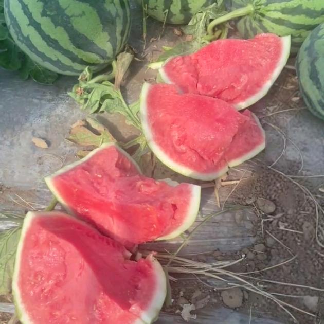 只管努力 剩下交给天意