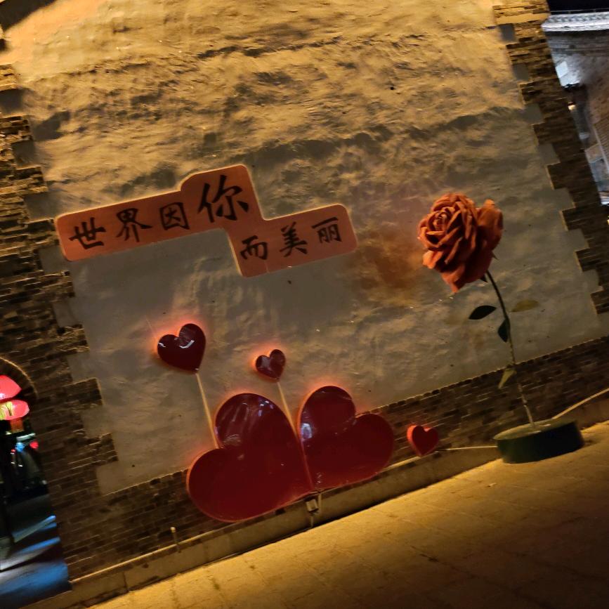 🦋ꦿ໊余生᭄🕊随心᭄ꦿᩚ*