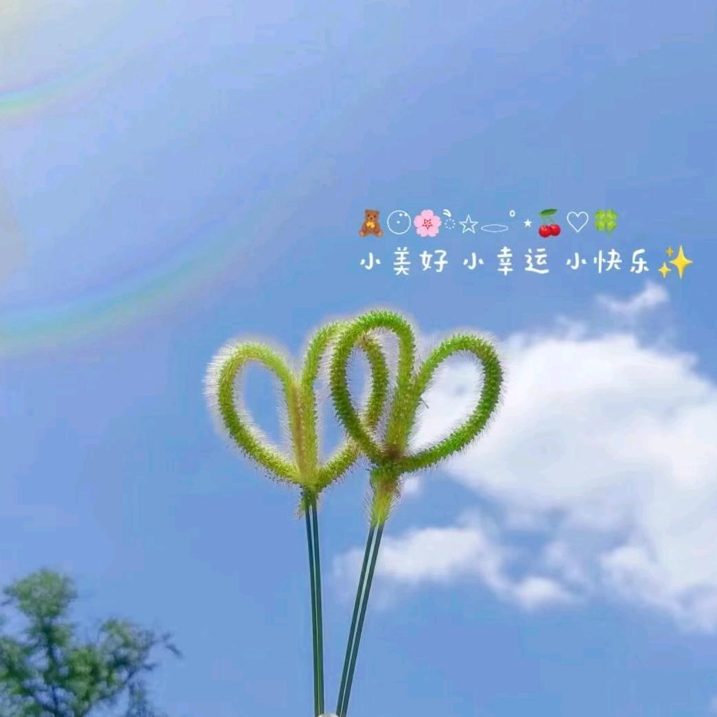 啊敬（王者荣耀）