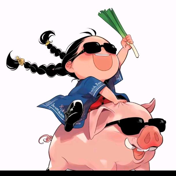 阿古不废话
