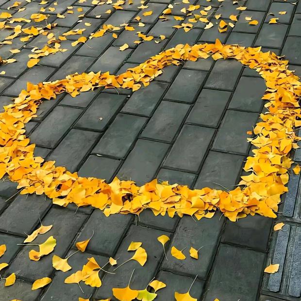 L໊ₒ心:ᨶ႒ᩚ念ₑ