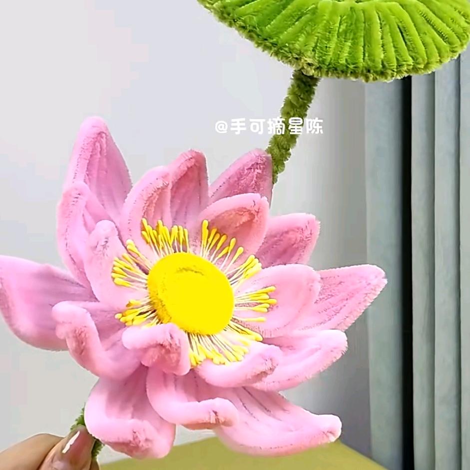 最爱淇淇果