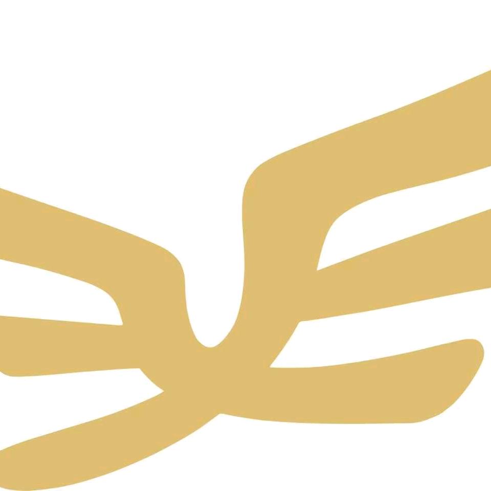 翼鑫(深圳)通用航空科技有限公司)官方号