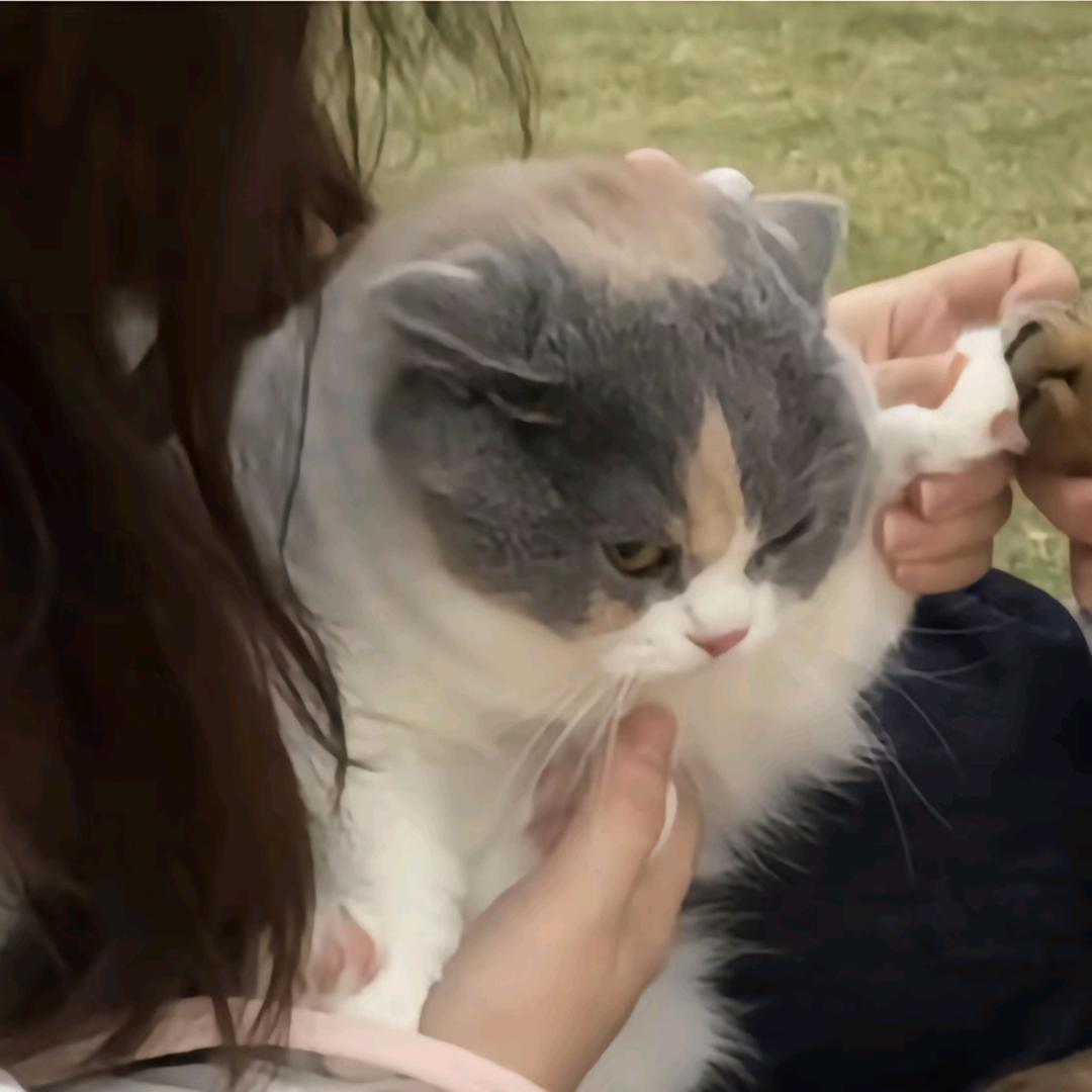 浆液性腺泡细胞