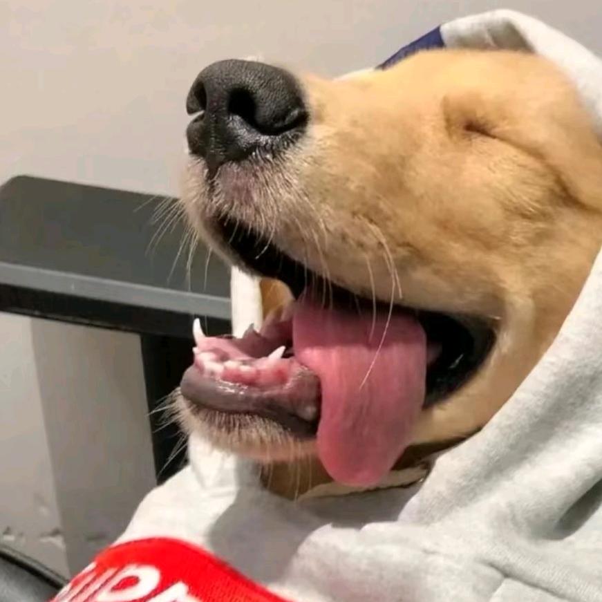 5 5💤