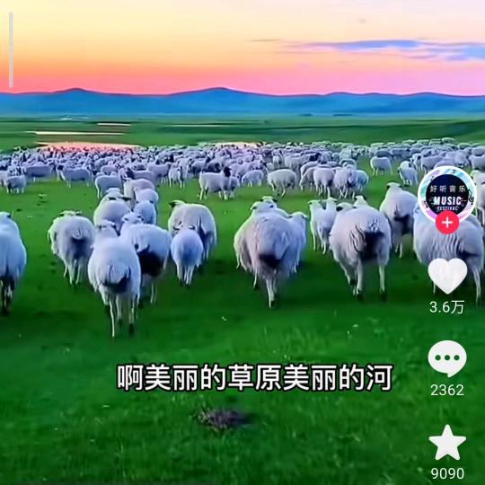 梁凉荷花幽