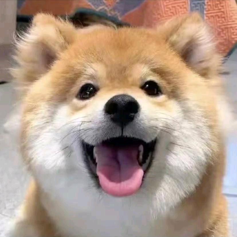 睡个好觉啊