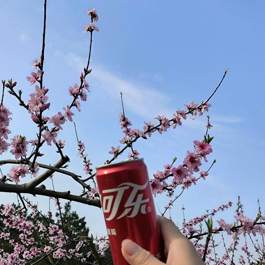 最晴天|•'-'•)و✧