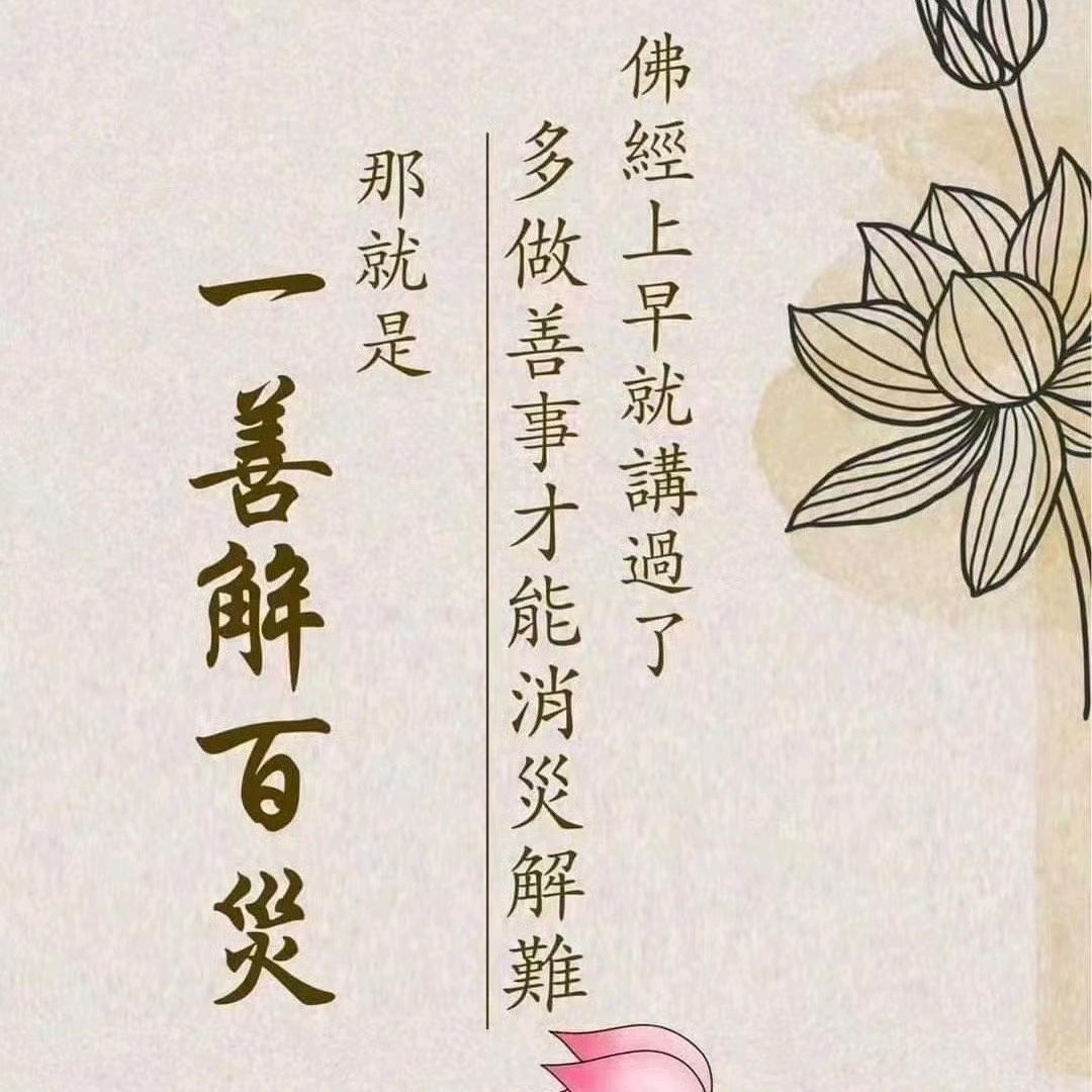 🌾梵香禅心3⃣谢绝连赞/连赞拉黑