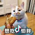 鲸落南北i