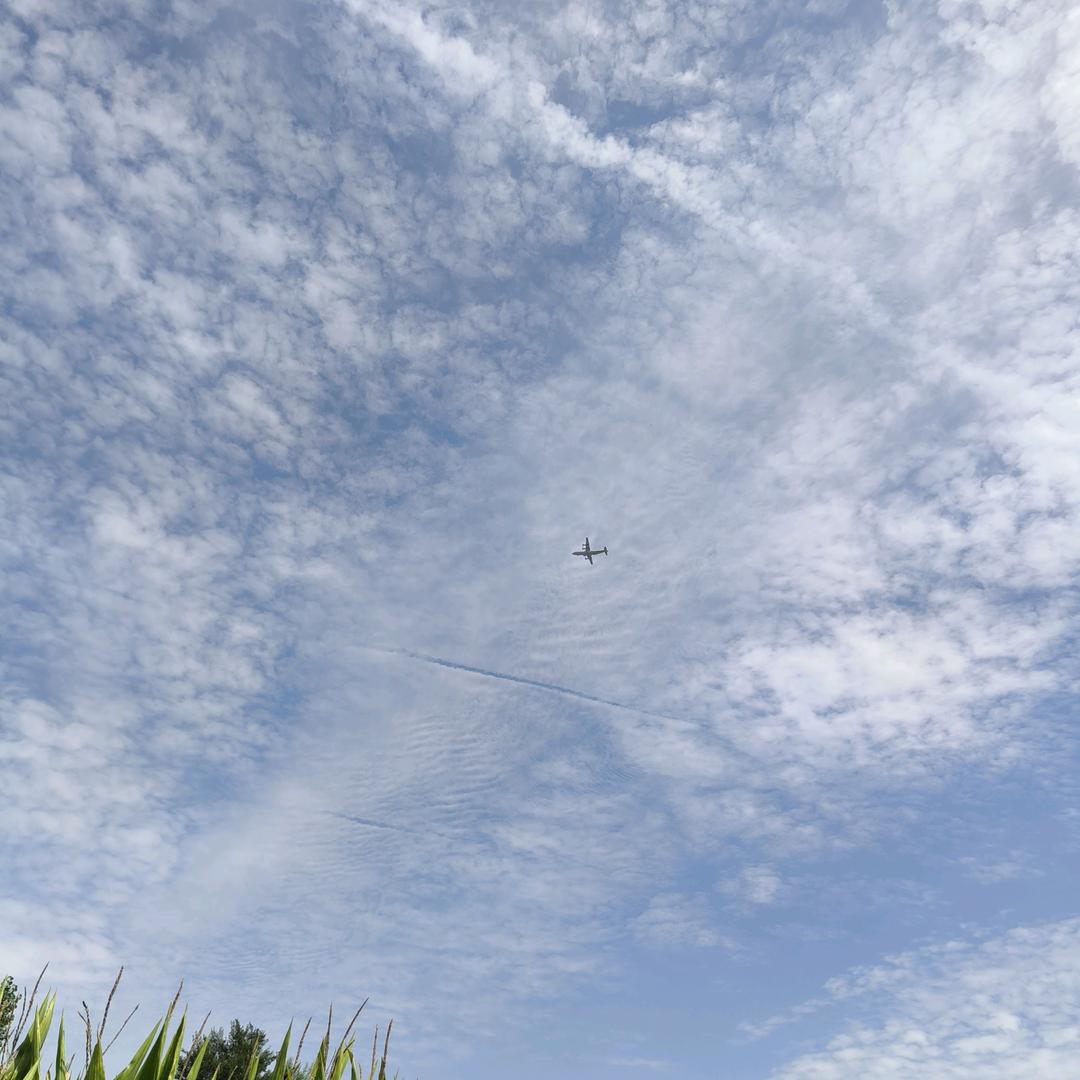 九零后的胖阿姨