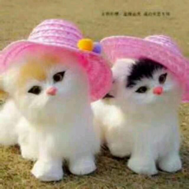 🍈🍆🍎🍈🍌🌽🧀🍞🍞🍯🍯🍅🌶