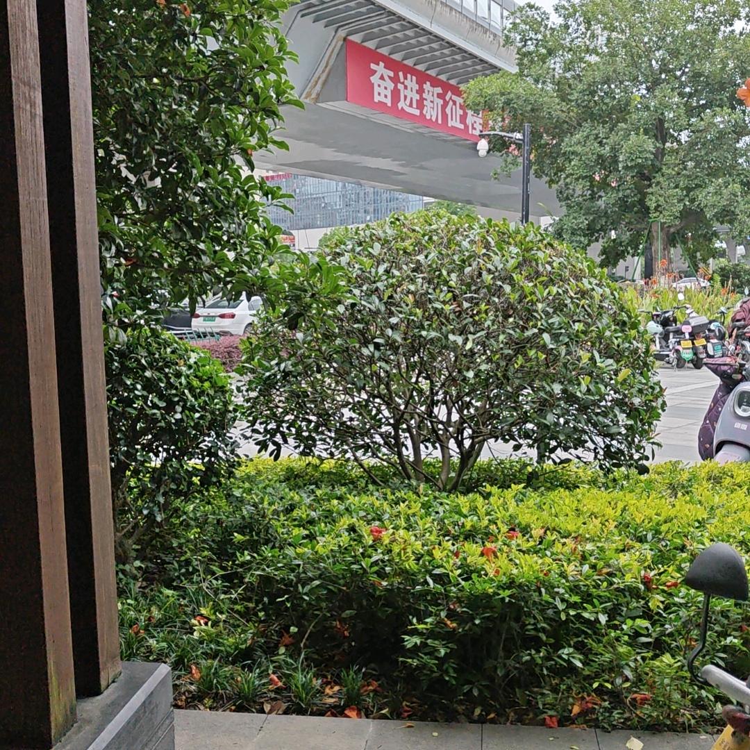 坏坏大徐哥