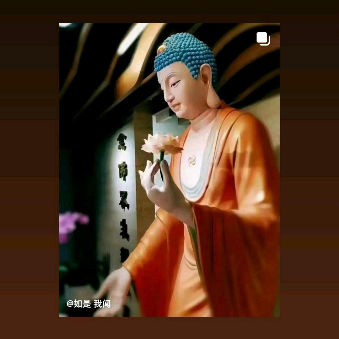 苏州单身小和尚白事一条龙服务旅游送欠我钱