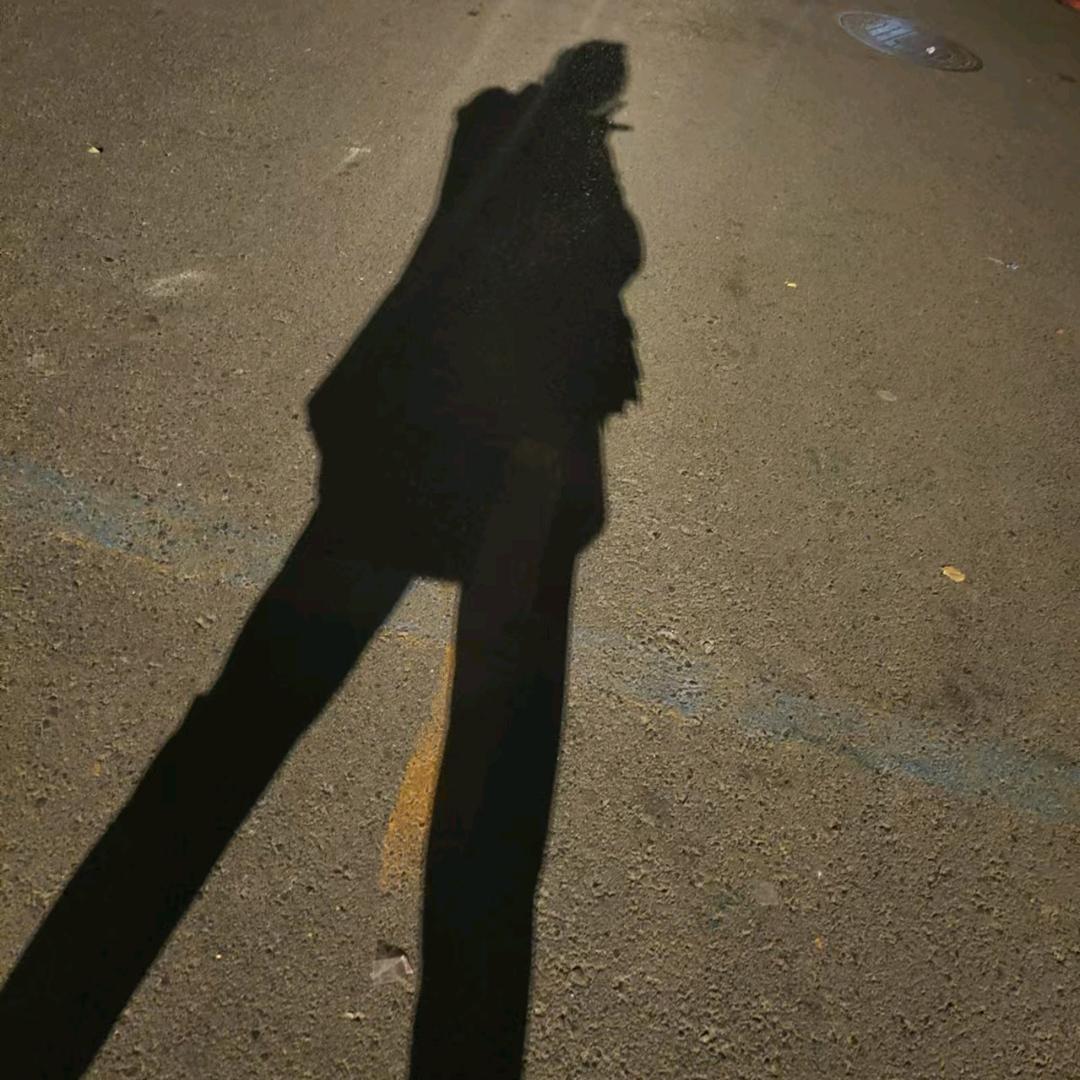 今夜有星星°