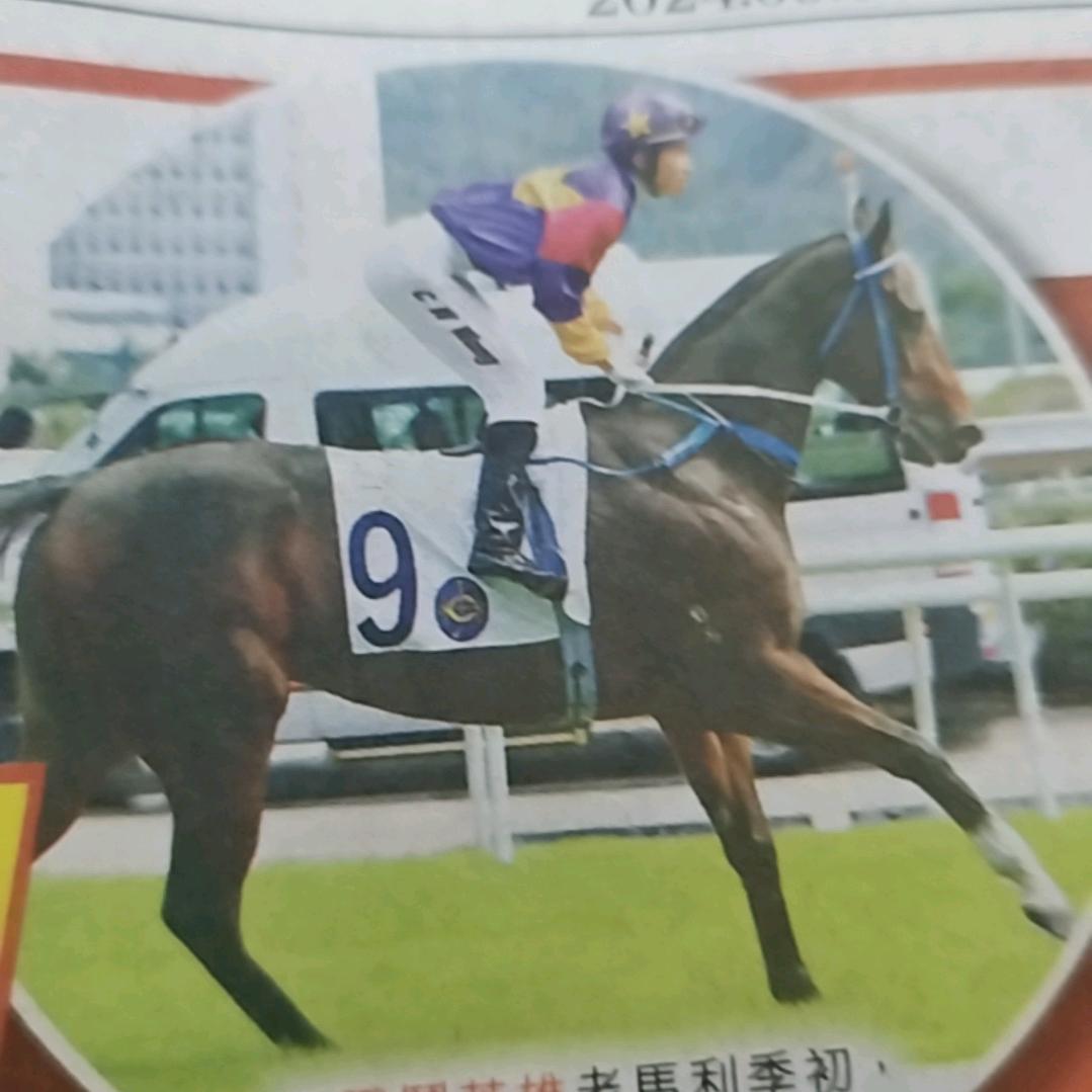 馬中